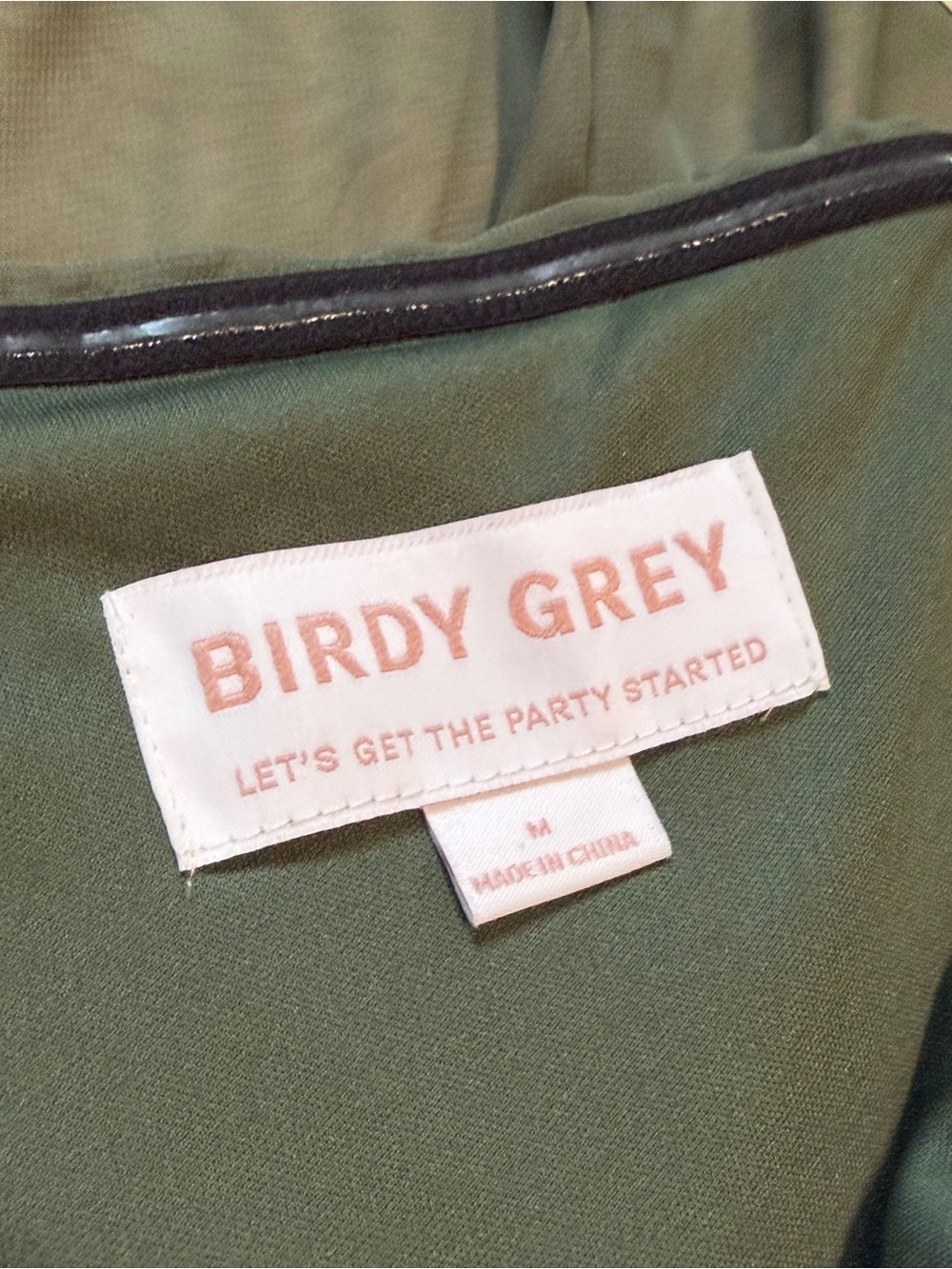 NWT Birdy Grey Kira Dress in Chiffon Olive - Size Medium - Picture 5 of 6